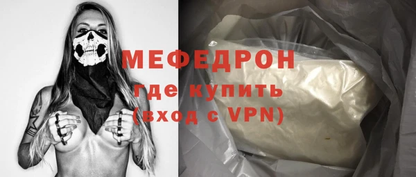 амф Ельня