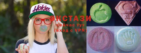 амф Ельня