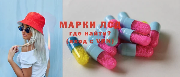 амф Ельня