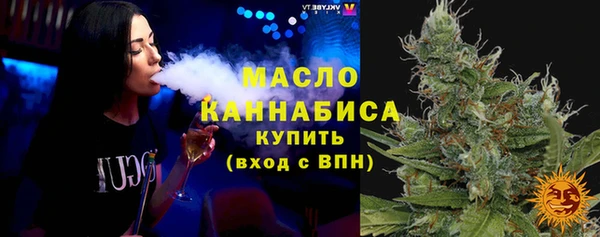 амф Ельня