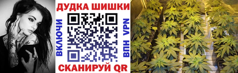 Купить где  Бакал  Шишки марихуана конопля 
